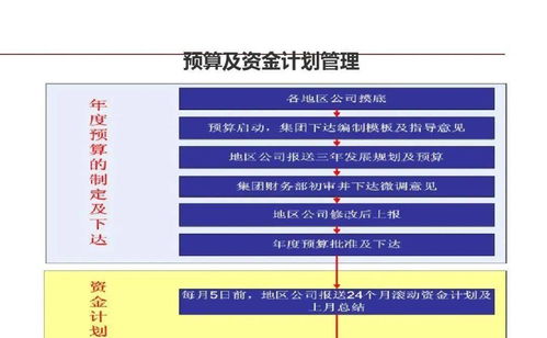 龍湖企業(yè)管理與運(yùn)營的精細(xì)化管理策略