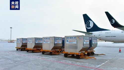 新疆首條定期國際貨運(yùn)航線正式通航，年貨運(yùn)吞吐量預(yù)計(jì)達(dá)3000噸